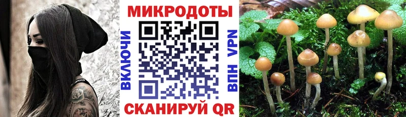 Купить  Камышлов  Галлюциногенные грибы Cubensis 
